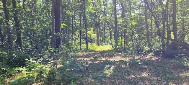 0 W Fruitvale Rd, Montague, MI 49437 - photo 18