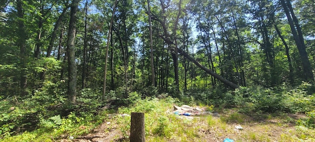0 W Fruitvale Rd, Montague, MI 49437 - photo 19