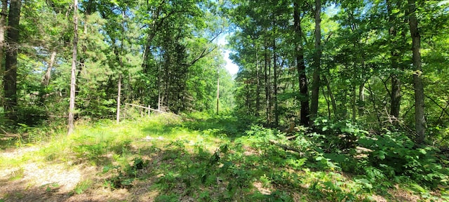 0 W Fruitvale Rd, Montague, MI 49437 - photo 20