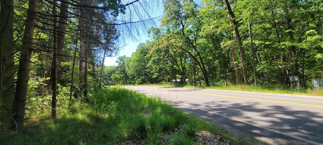0 W Fruitvale Rd, Montague, MI 49437 - photo 2