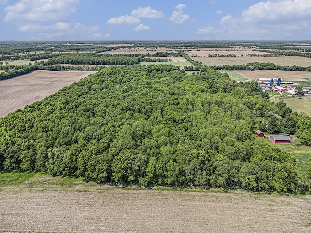 V/L 23 Mile Road, Marshall, MI 49068 - photo 2