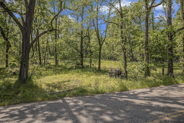 V/L 23 Mile Road, Marshall, MI 49068 - photo 10