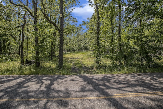 V/L 23 Mile Road, Marshall, MI 49068 - photo 11