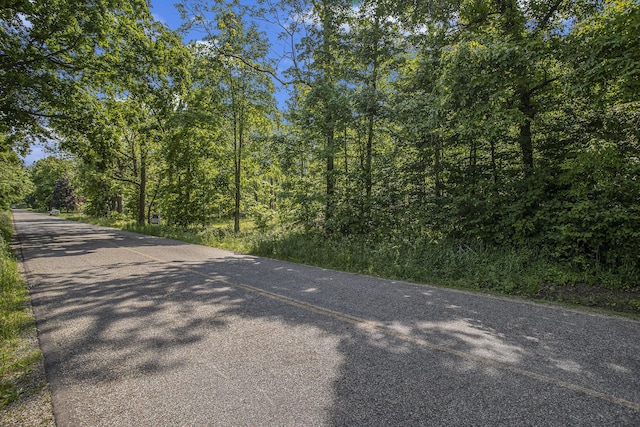 V/L 23 Mile Road, Marshall, MI 49068 - photo 12
