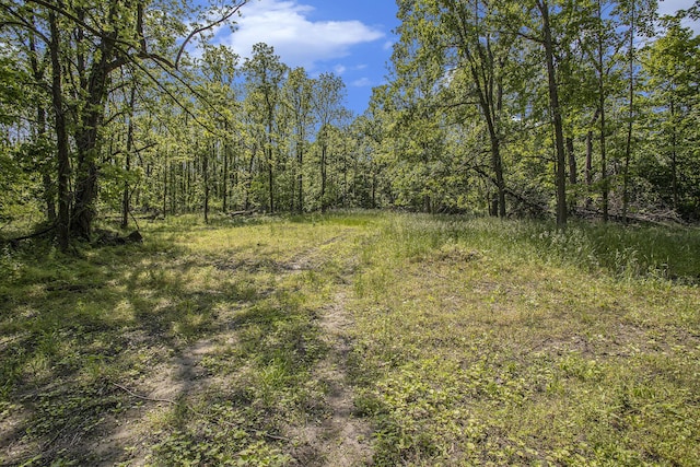 V/L 23 Mile Road, Marshall, MI 49068 - photo 13