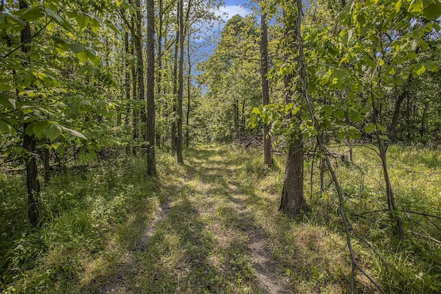 V/L 23 Mile Road, Marshall, MI 49068 - photo 15