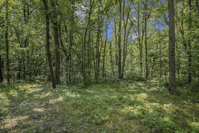 V/L 23 Mile Road, Marshall, MI 49068 - photo 17