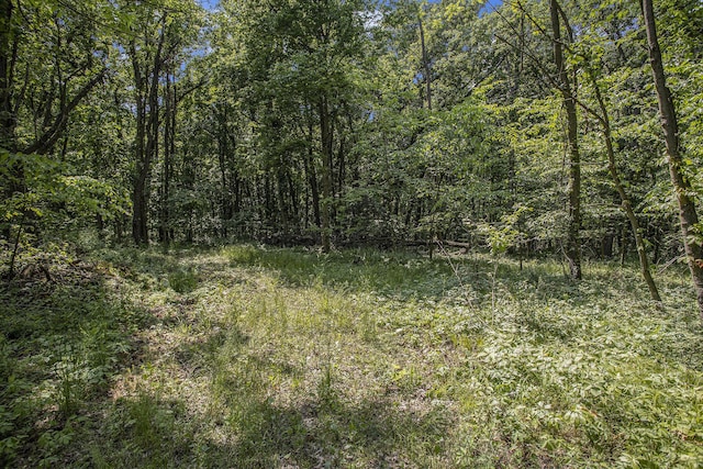 V/L 23 Mile Road, Marshall, MI 49068 - photo 18