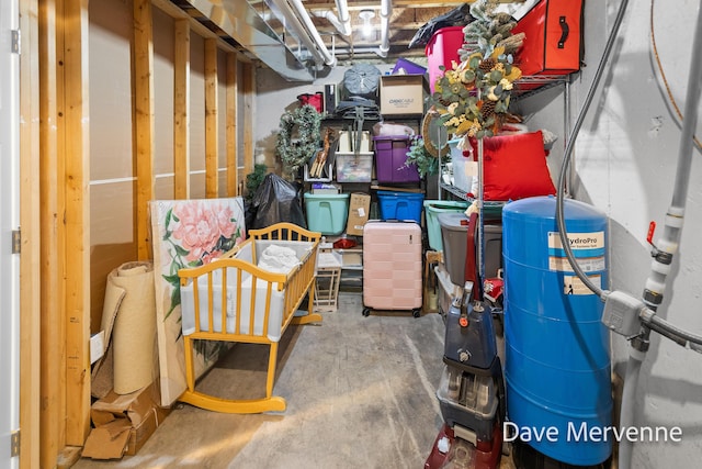 2845 Ridgecrest St SW, Byron Center, MI 49315 - view of storage room
