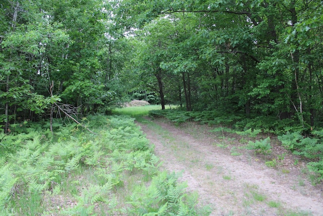 605 S Cook Ave, Harrison, MI 48625 - photo 27