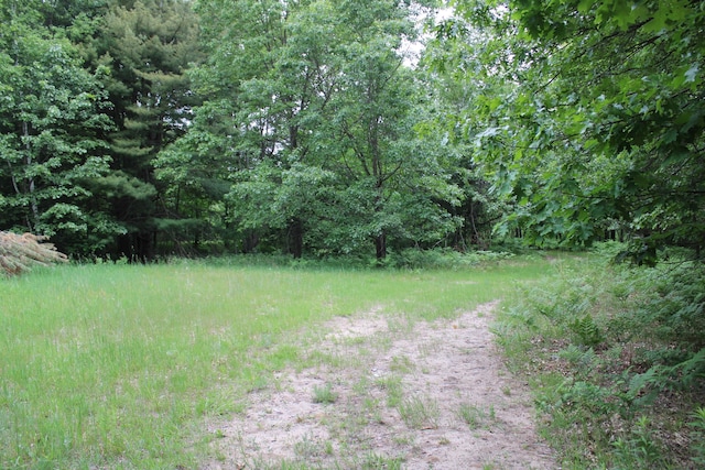 605 S Cook Ave, Harrison, MI 48625 - photo 28