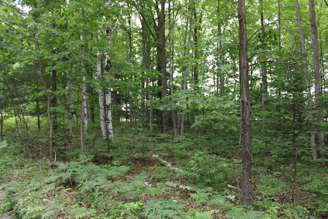 605 S Cook Ave, Harrison, MI 48625 - photo 33