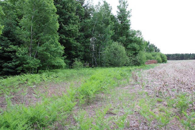 605 S Cook Ave, Harrison, MI 48625 - photo 37