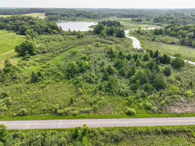 VL Waubascon Rd Lot # Wp001, Battle Creek, MI 49017