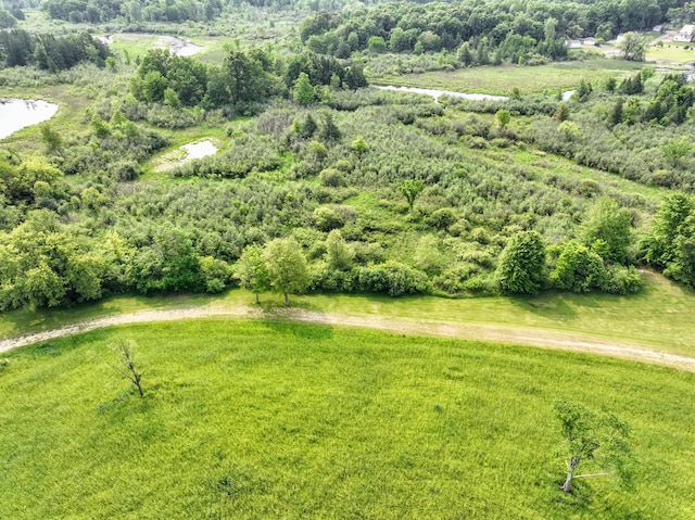 VL Waubascon Rd Lot # Wp001, Battle Creek, MI 49017