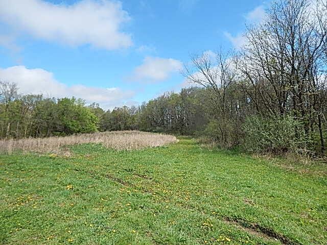 7200 Combs Rd, Jerome, MI 49249 - photo 2