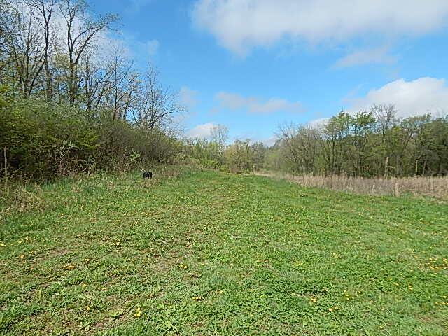 7200 Combs Rd, Jerome, MI 49249 - photo 3
