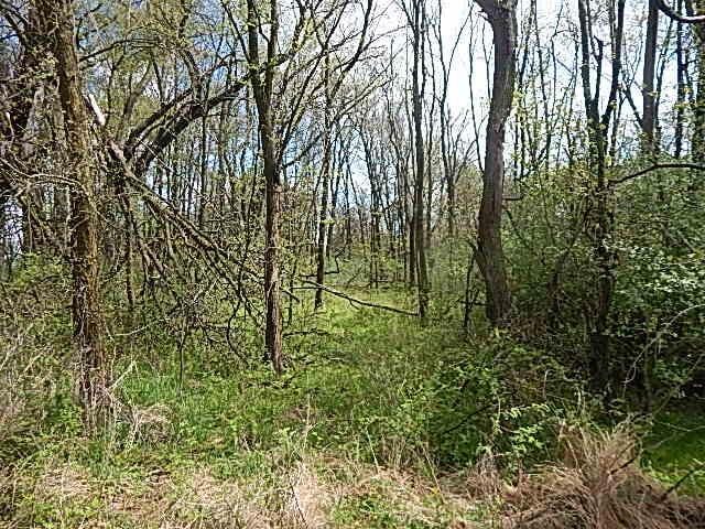 7200 Combs Rd, Jerome, MI 49249 - photo 4