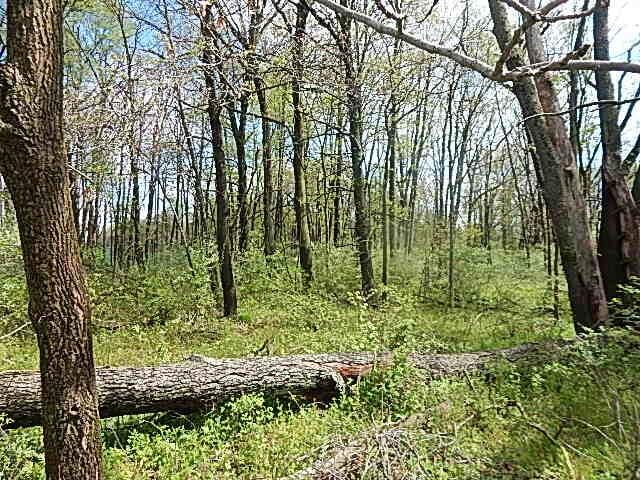7200 Combs Rd, Jerome, MI 49249 - photo 6