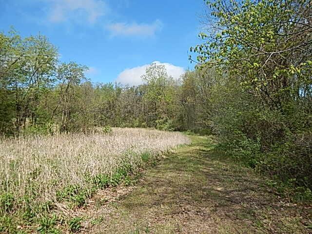 7200 Combs Rd, Jerome, MI 49249 - photo 7