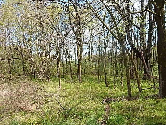 7200 Combs Rd, Jerome, MI 49249 - photo 8