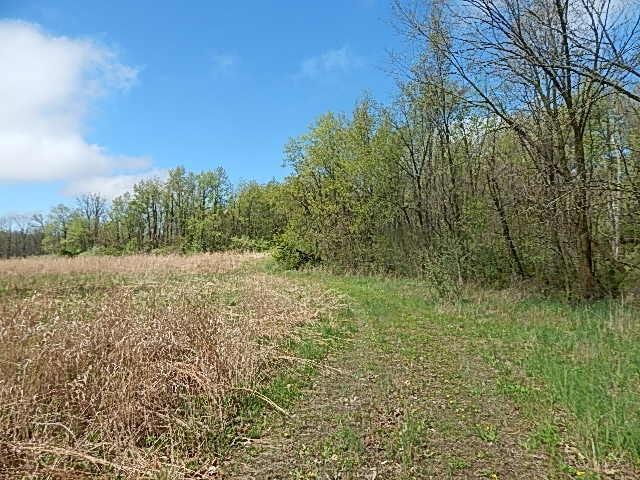 7200 Combs Rd, Jerome, MI 49249 - photo 10