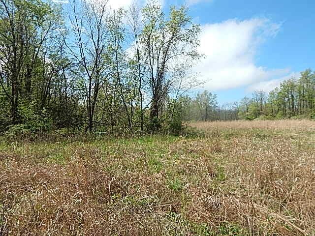 7200 Combs Rd, Jerome, MI 49249 - photo 11