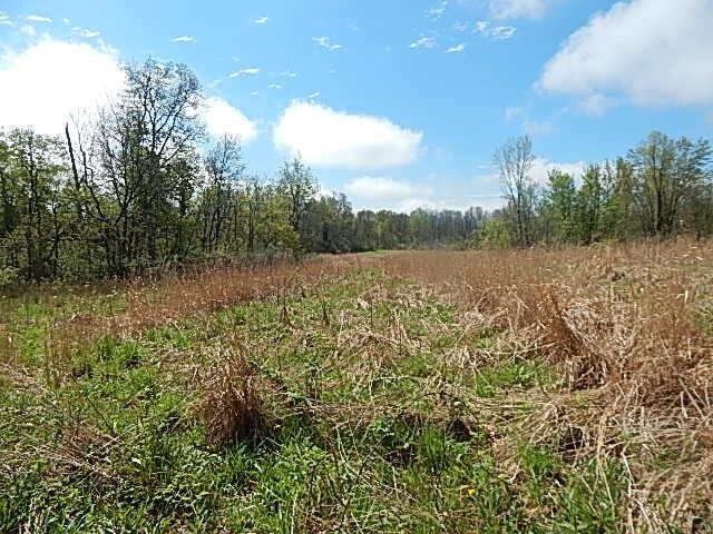 7200 Combs Rd, Jerome, MI 49249 - photo 12