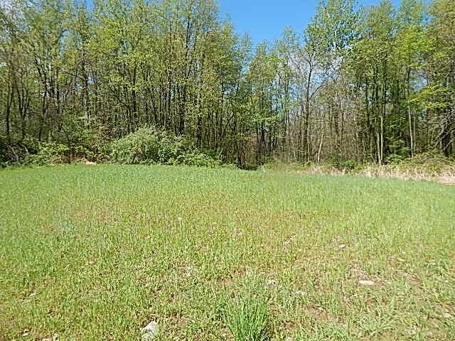 7200 Combs Rd, Jerome, MI 49249 - photo 13