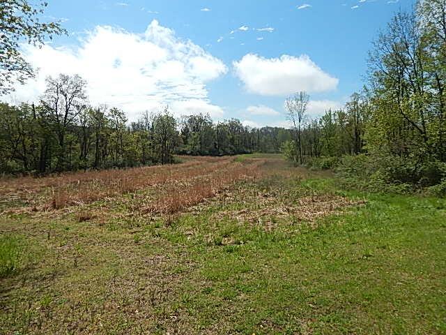 7200 Combs Rd, Jerome, MI 49249 - photo 14