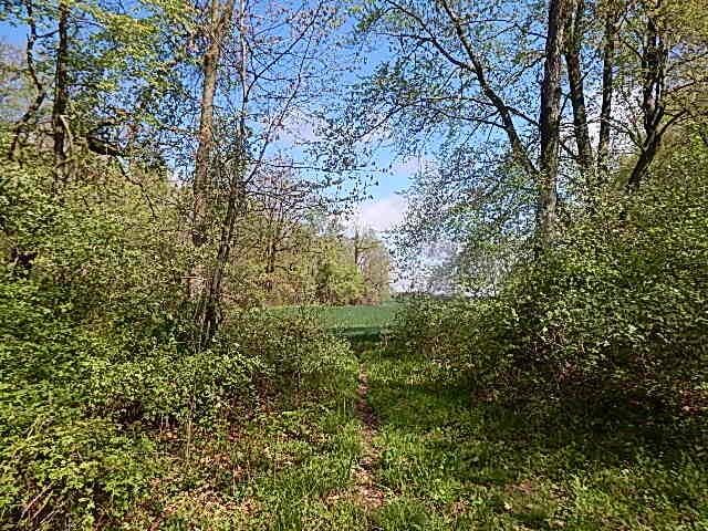 7200 Combs Rd, Jerome, MI 49249 - photo 15