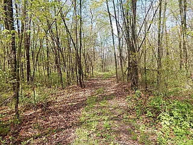 7200 Combs Rd, Jerome, MI 49249 - photo 16