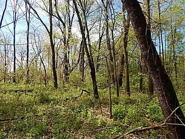 7200 Combs Rd, Jerome, MI 49249 - photo 17