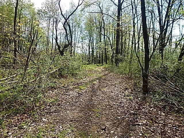 7200 Combs Rd, Jerome, MI 49249 - photo 19