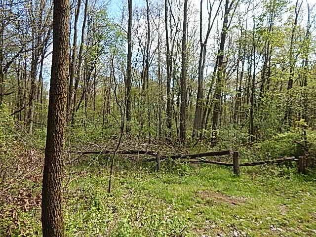 7200 Combs Rd, Jerome, MI 49249 - photo 20