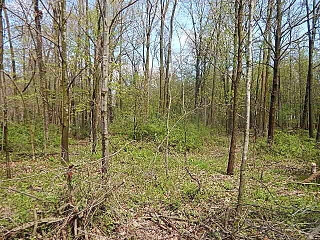 7200 Combs Rd, Jerome, MI 49249 - photo 21