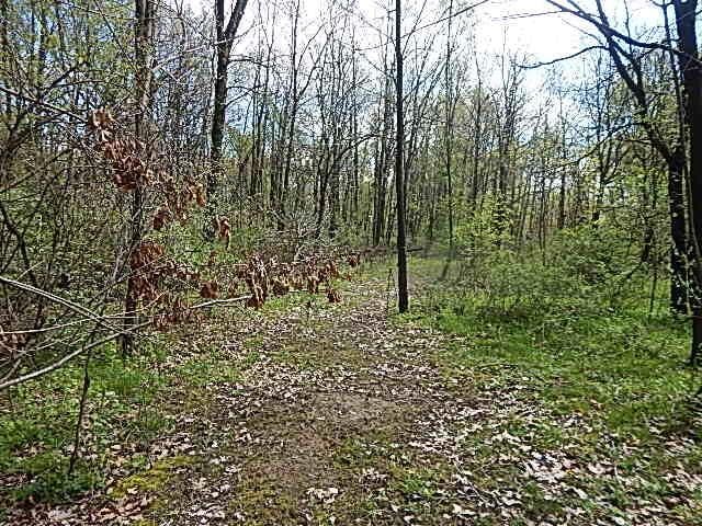7200 Combs Rd, Jerome, MI 49249 - photo 22
