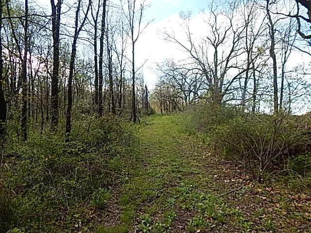 7200 Combs Rd, Jerome, MI 49249 - photo 23