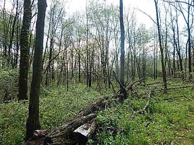 7200 Combs Rd, Jerome, MI 49249 - photo 24