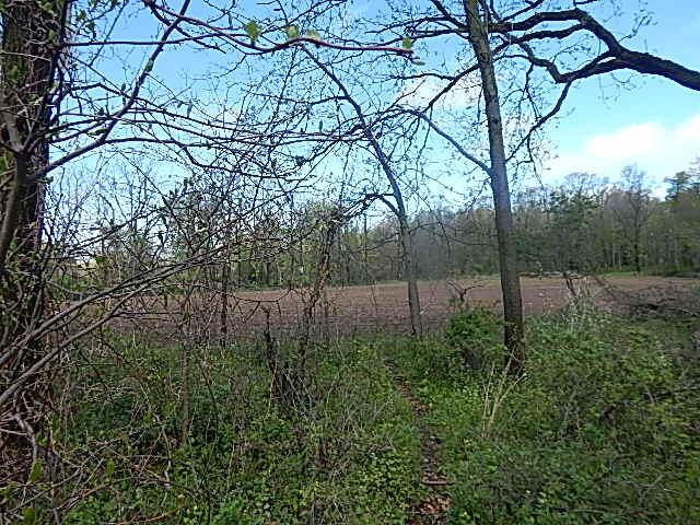 7200 Combs Rd, Jerome, MI 49249 - photo 25