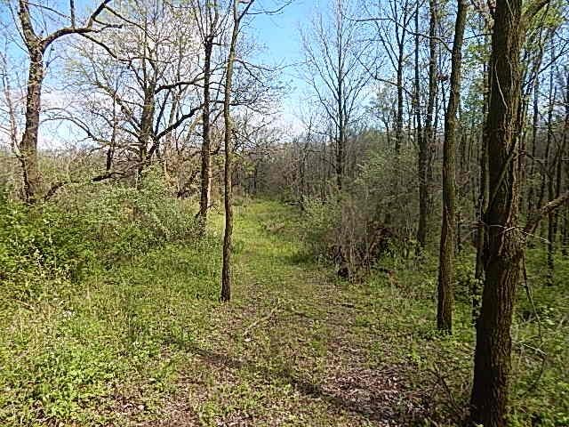 7200 Combs Rd, Jerome, MI 49249 - photo 26