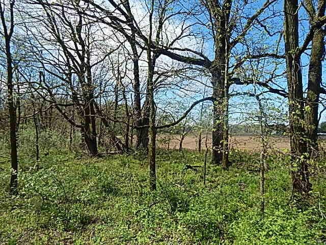 7200 Combs Rd, Jerome, MI 49249 - photo 27