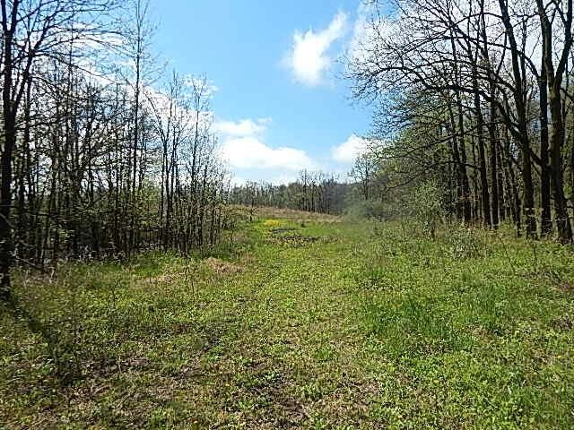 7200 Combs Rd, Jerome, MI 49249 - photo 28
