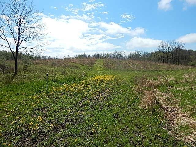 7200 Combs Rd, Jerome, MI 49249 - photo 29