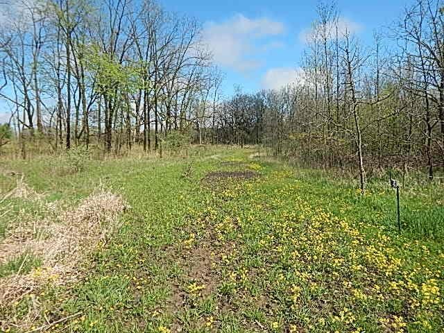 7200 Combs Rd, Jerome, MI 49249 - photo 30