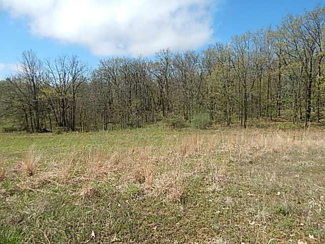 7200 Combs Rd, Jerome, MI 49249 - photo 31