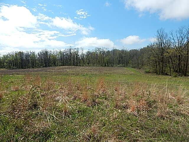 7200 Combs Rd, Jerome, MI 49249 - photo 32