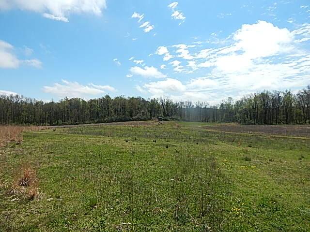 7200 Combs Rd, Jerome, MI 49249 - photo 33