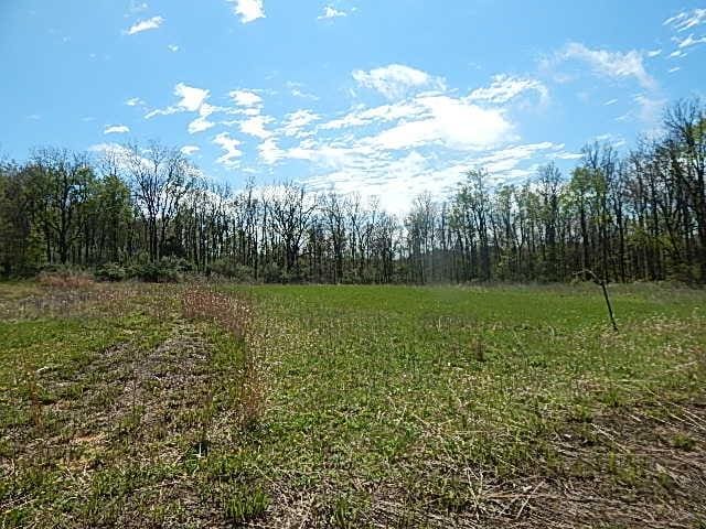 7200 Combs Rd, Jerome, MI 49249 - photo 34
