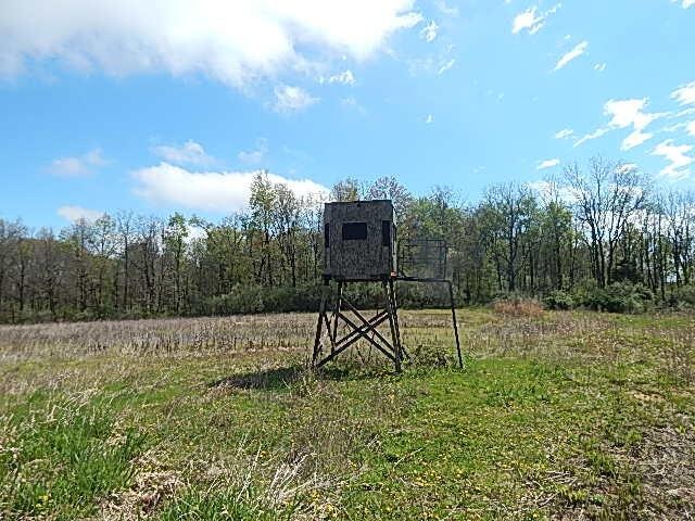 7200 Combs Rd, Jerome, MI 49249 - photo 35